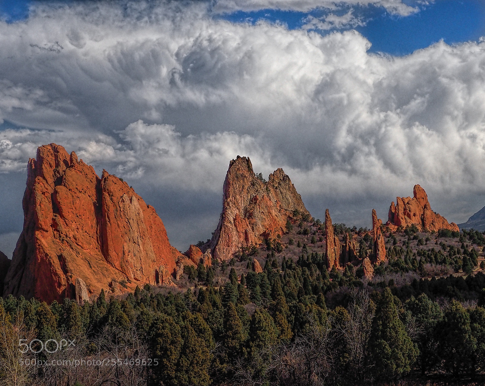 Olympus OM-D E-M1 Mark II sample photo. Garden of the gods photography