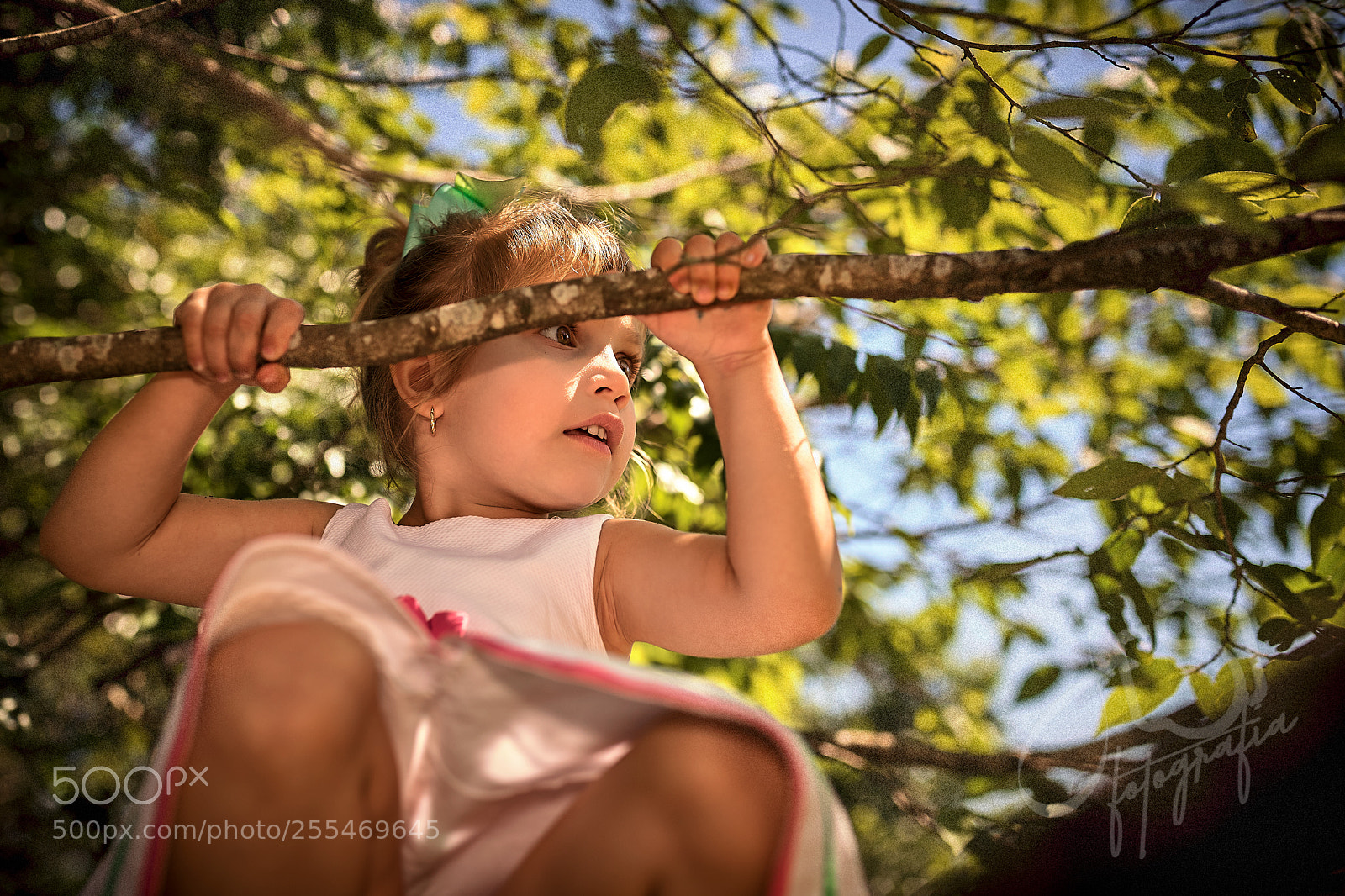 Canon EOS 6D sample photo. Parkarvorejennifer photography