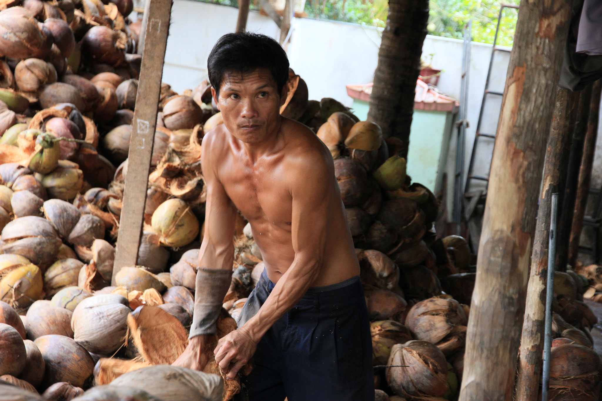 Canon EOS 550D (EOS Rebel T2i / EOS Kiss X4) sample photo. Vietnam ben tre  worker cracking coconut photography