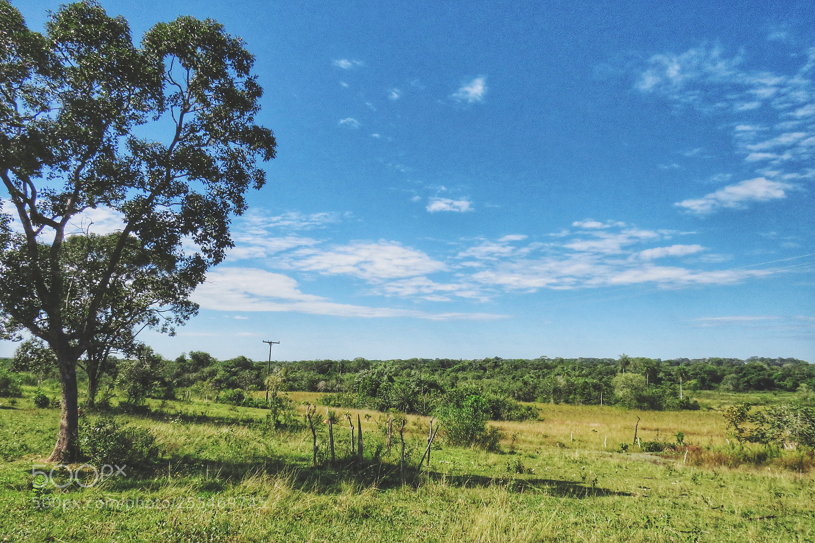 Canon PowerShot SX540 HS sample photo. Farm life landscape photography