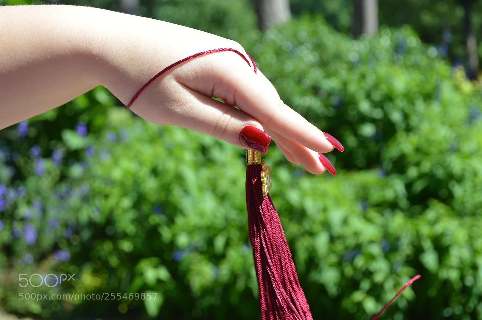 Nikon D3200 sample photo. Graduation photography