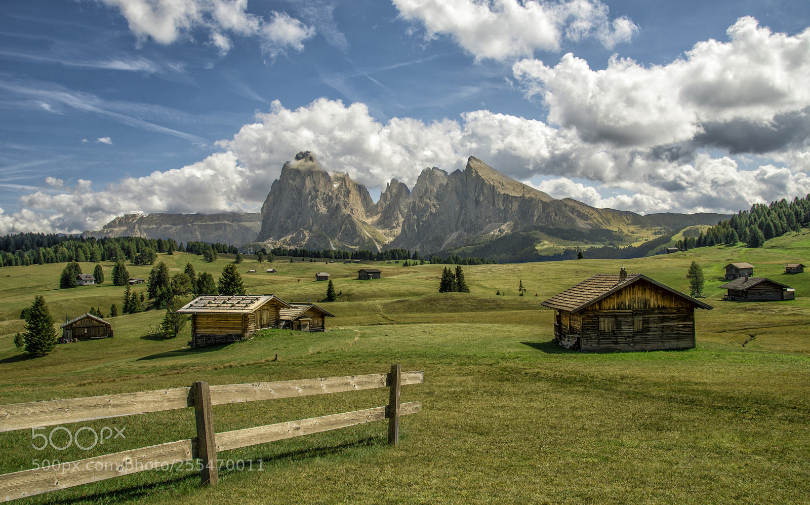 Nikon D610 sample photo. Alpe di siusi photography