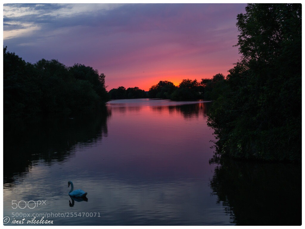 Olympus OM-D E-M5 sample photo. Sunset on the river photography