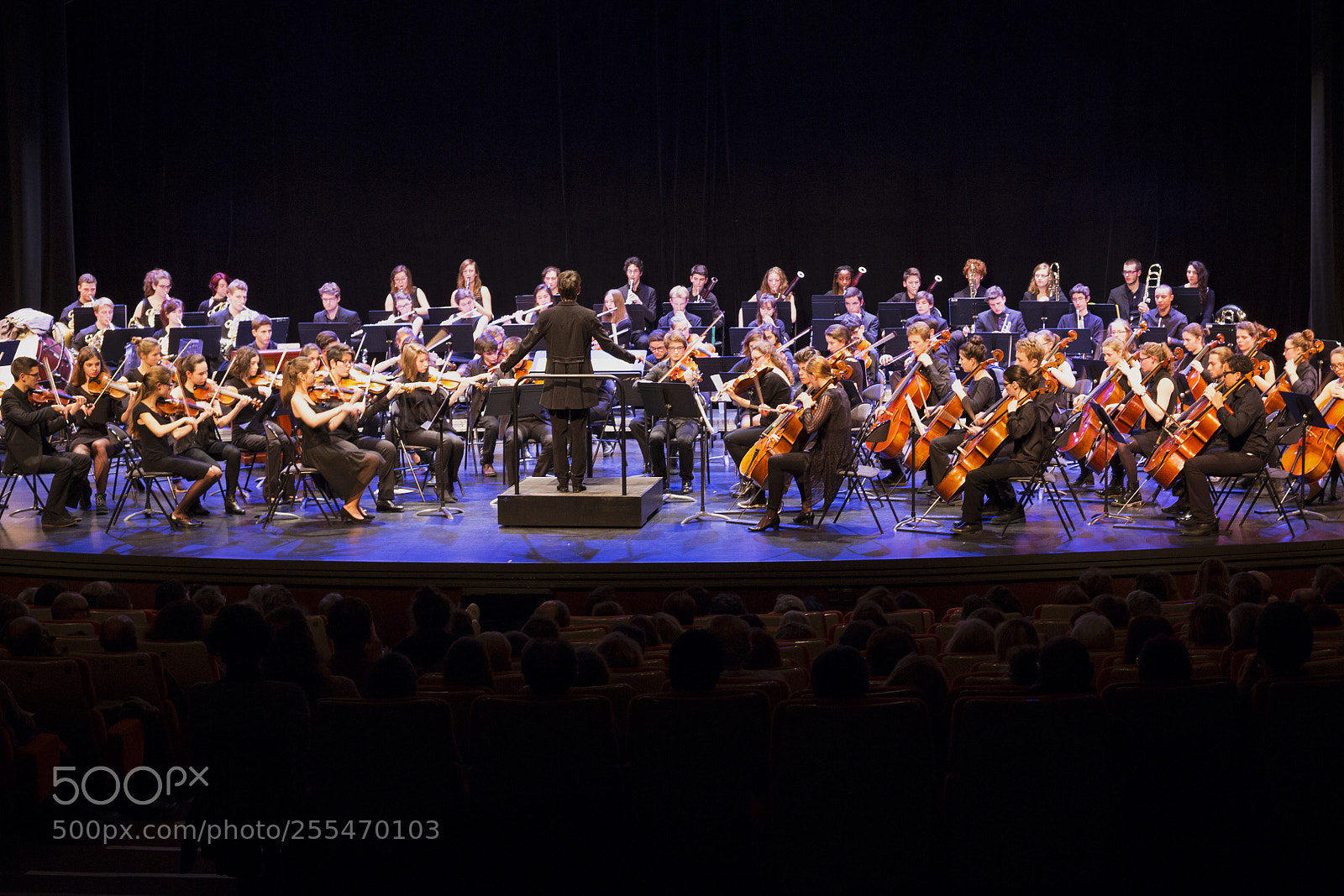 Canon EOS 6D sample photo. Img photography