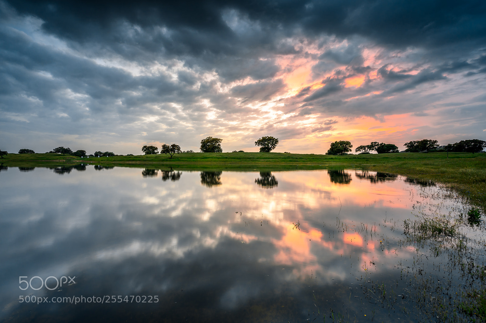 Sony a7 II sample photo. Reflexos photography