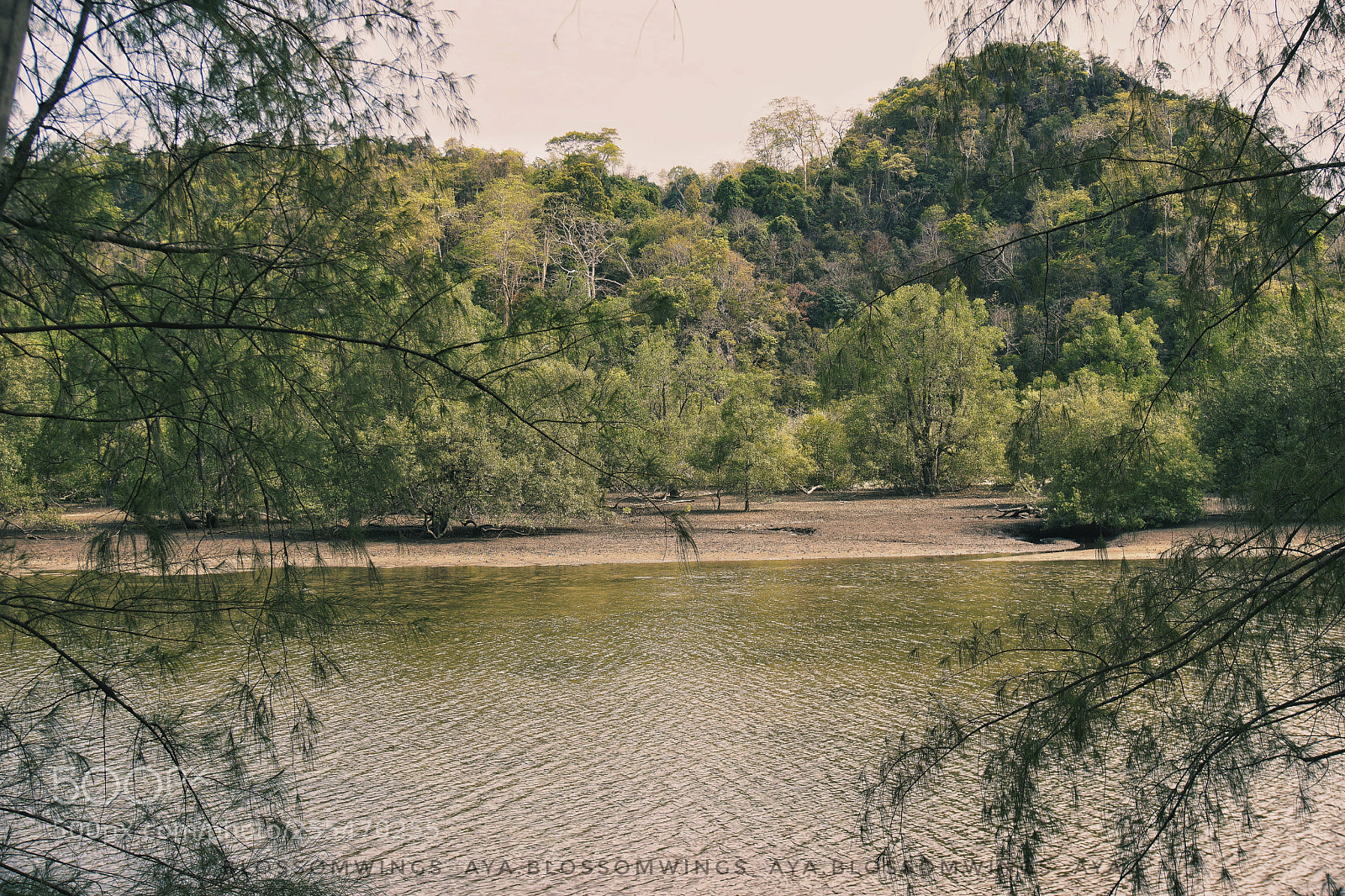 Sony a6000 sample photo. Greenery photography