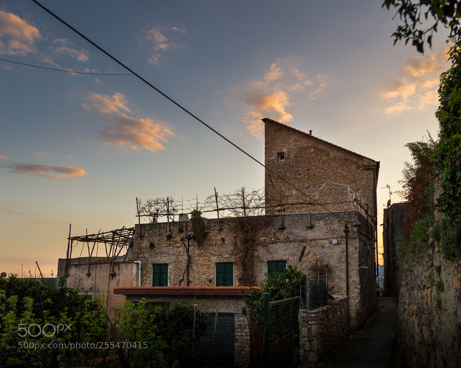Canon EOS 6D sample photo. Mg photography