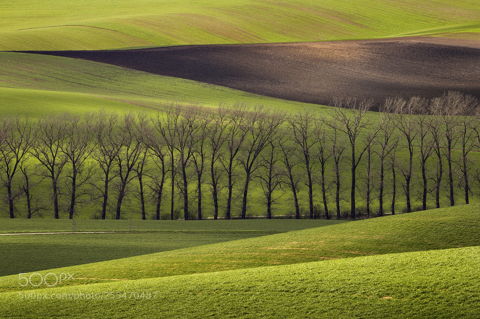 Canon EOS 6D sample photo. Windbreak photography