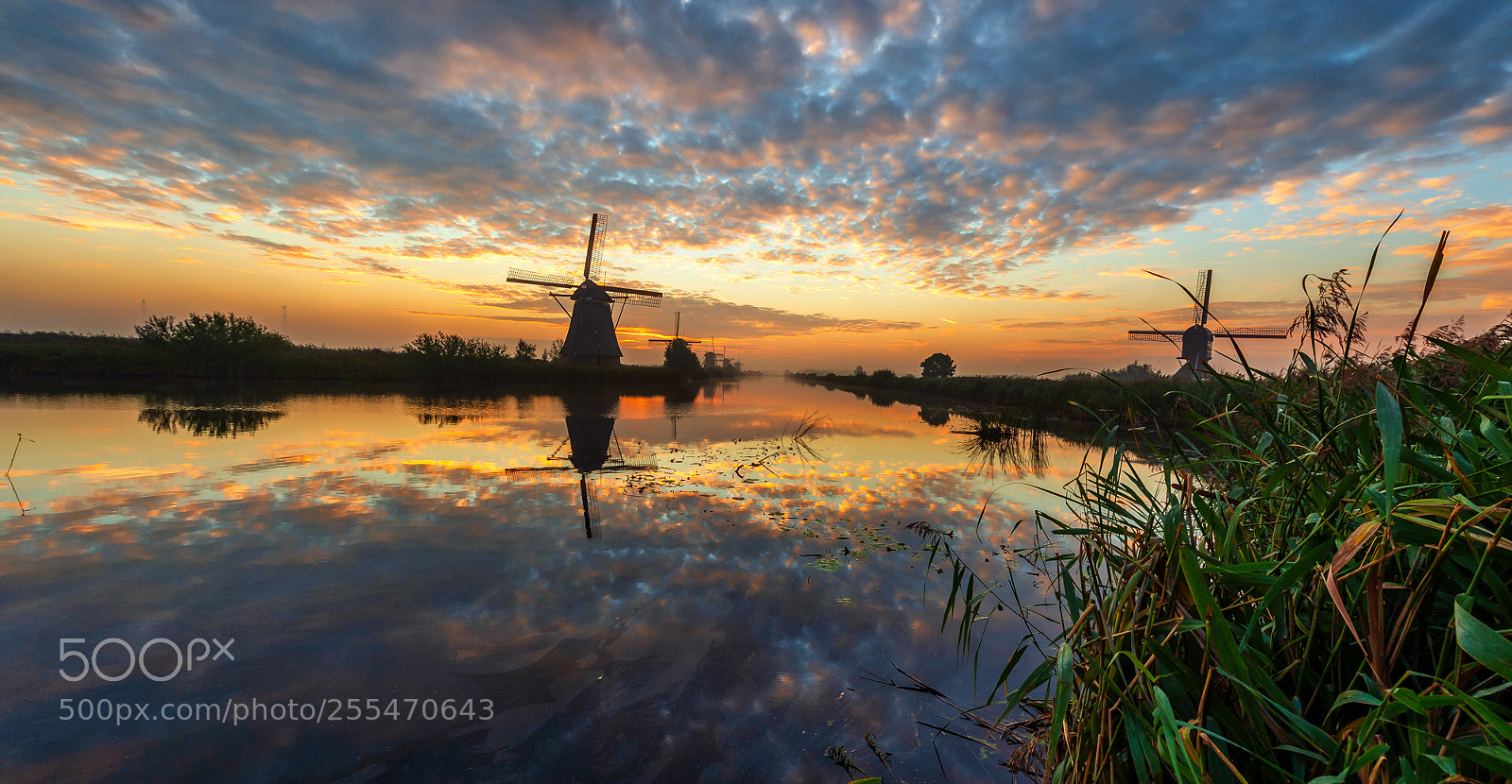 Nikon D4S sample photo. Early morning @ kinderdijk ! photography