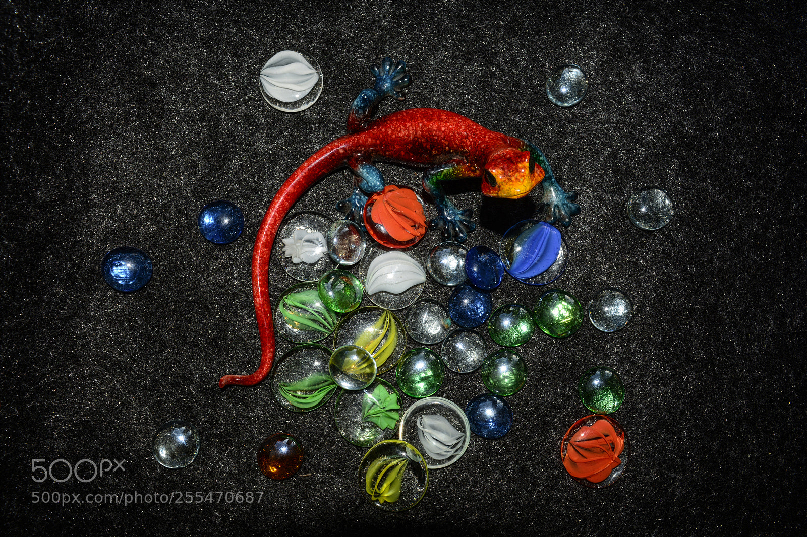 Nikon D5200 sample photo. ящерка photography