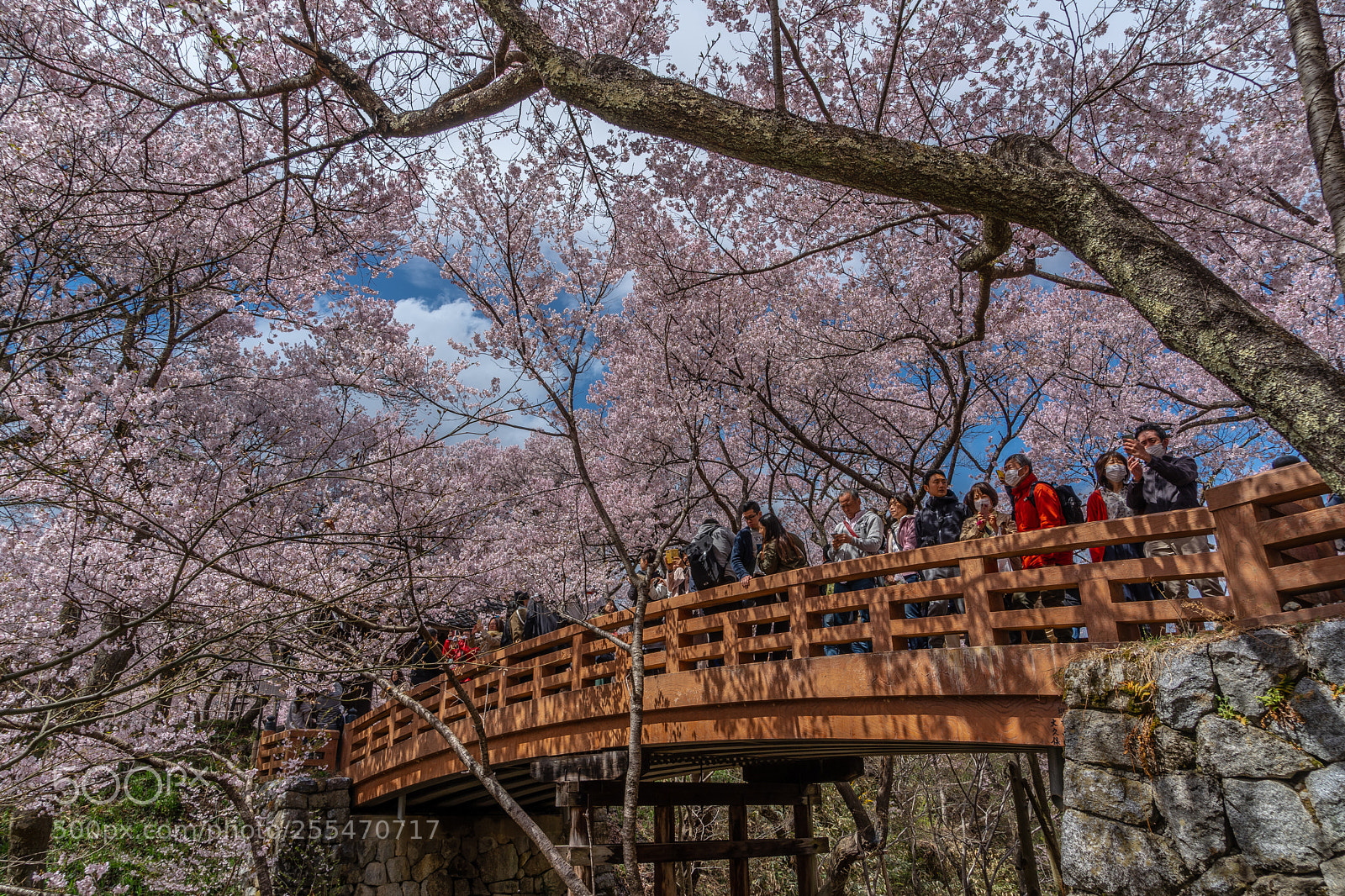 Sony a7 III sample photo. Takato castle ruins photography