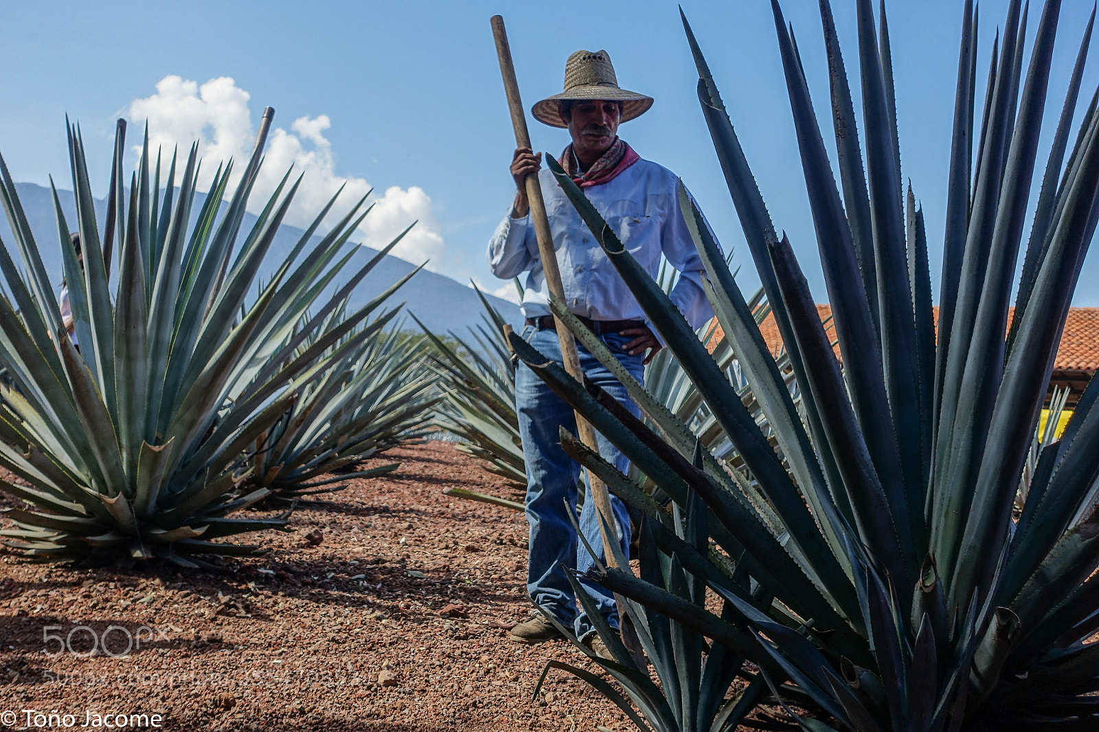 Sony Cyber-shot DSC-RX100 III sample photo. Tequila man photography