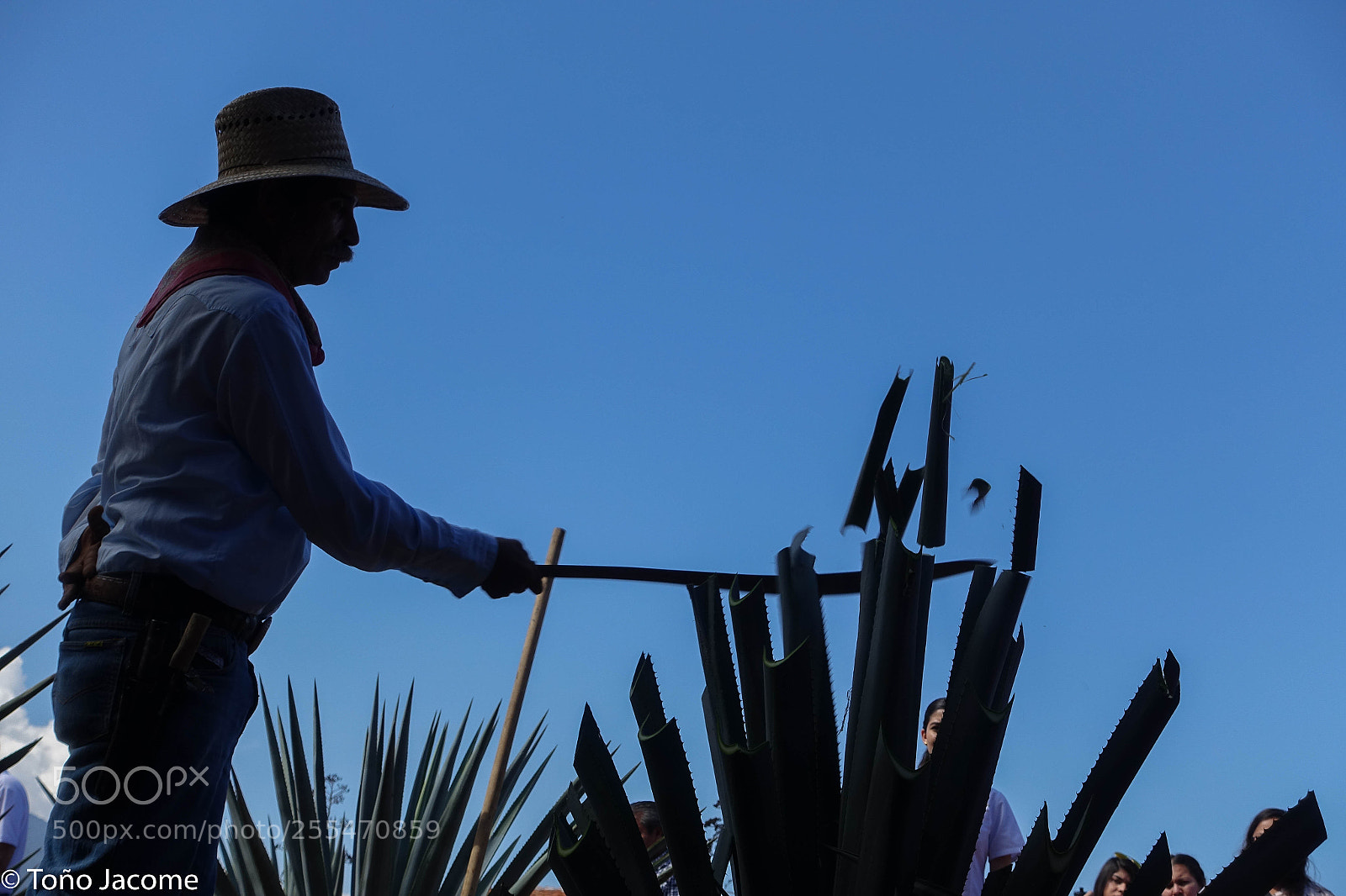 Sony Cyber-shot DSC-RX100 III sample photo. Tequila man photography