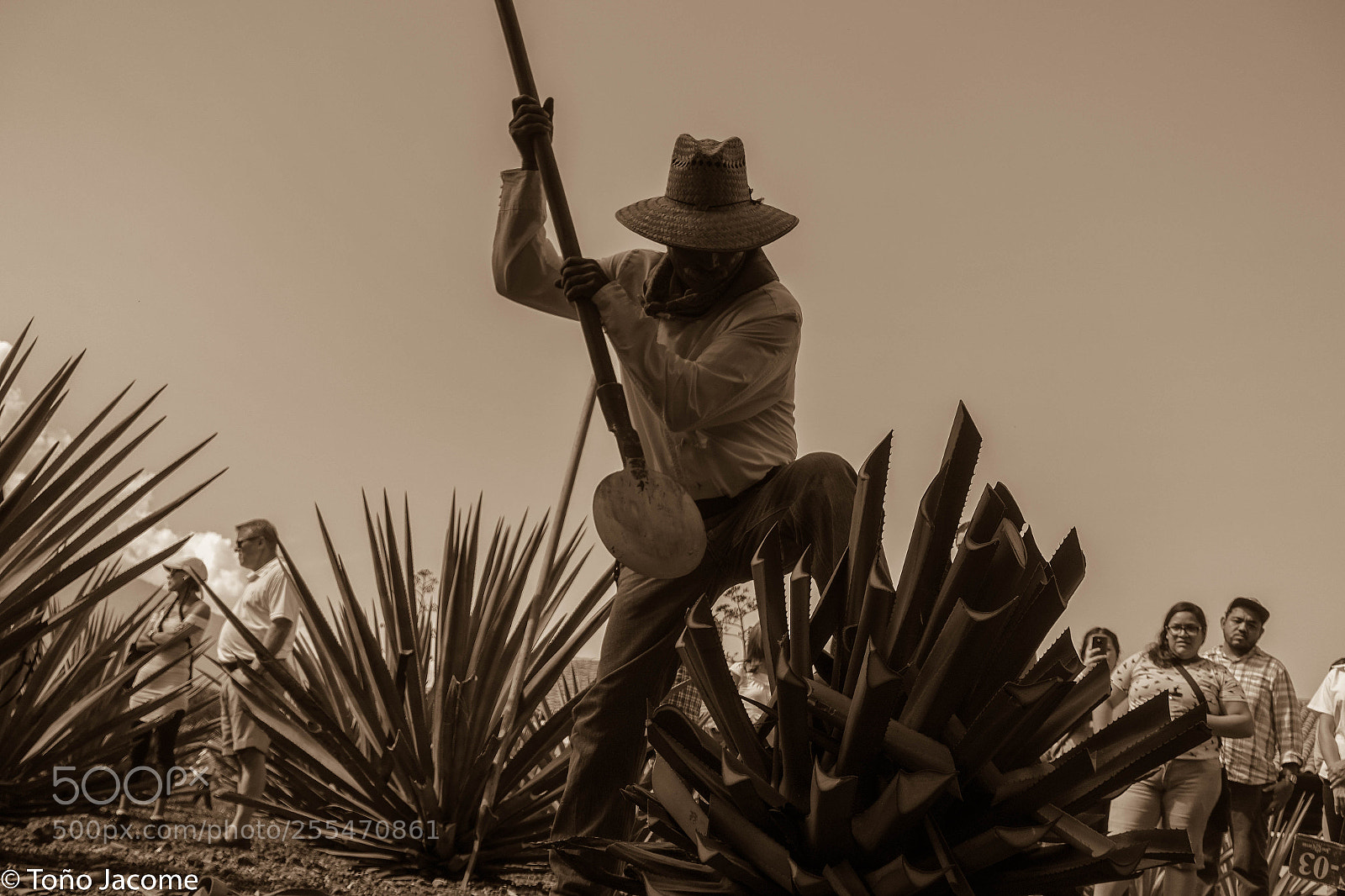 Sony Cyber-shot DSC-RX100 III sample photo. Tequila man photography