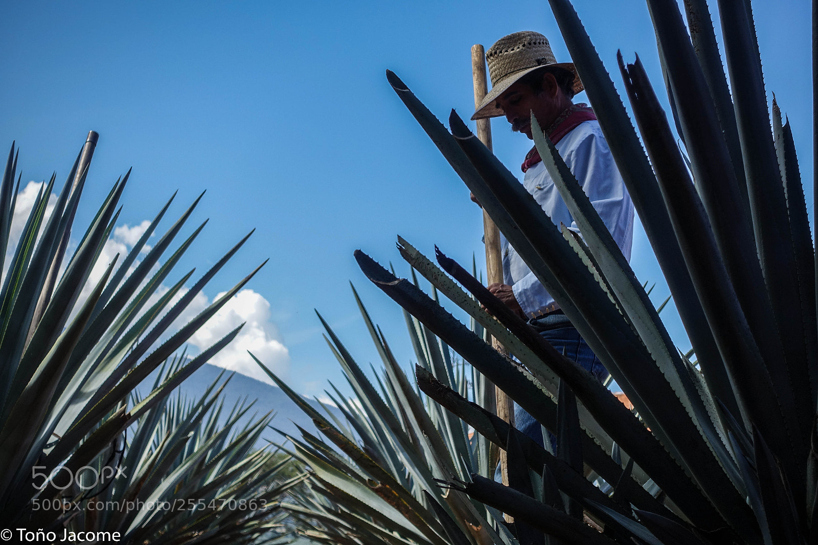 Sony Cyber-shot DSC-RX100 III sample photo. Tequila man photography