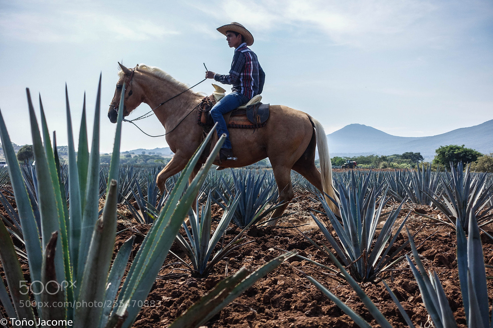 Sony Cyber-shot DSC-RX100 III sample photo. Tequila horse riding photography