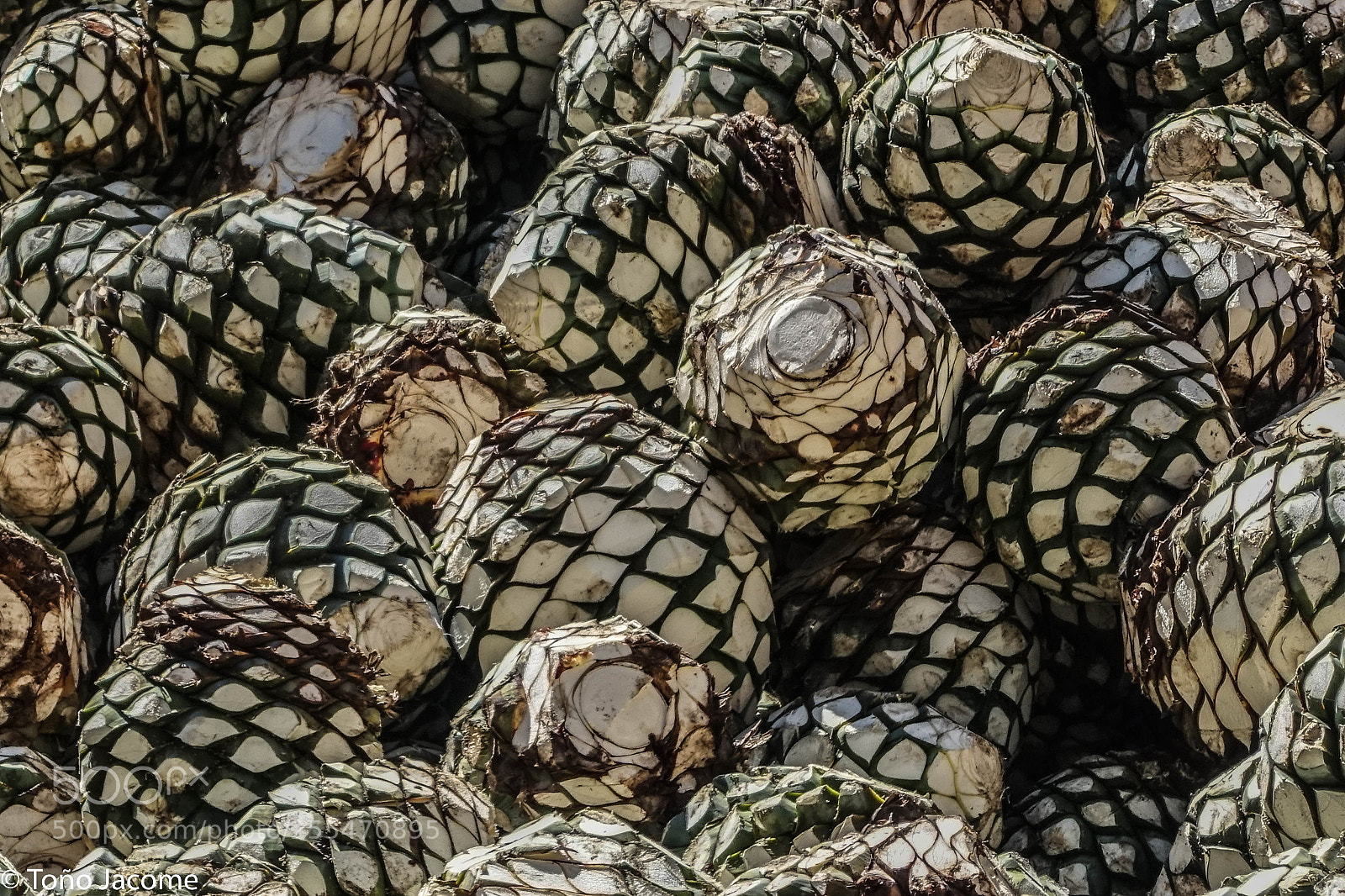 Sony Cyber-shot DSC-RX100 III sample photo. Tequila fruits photography