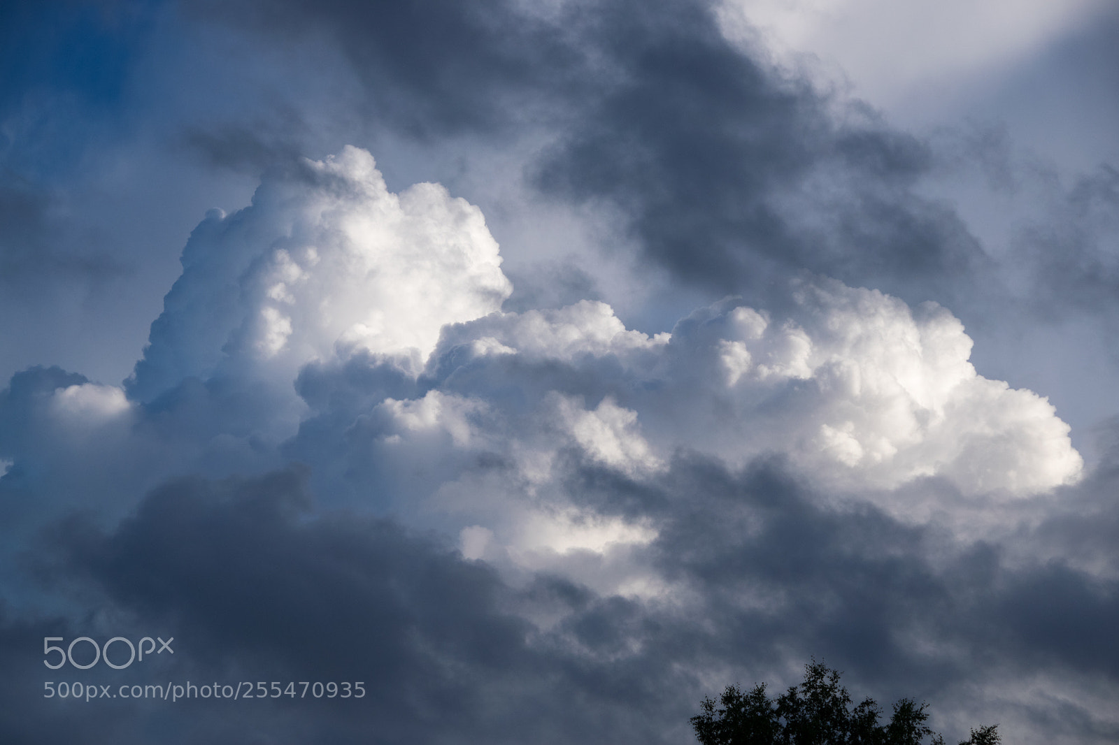 Nikon D3300 sample photo. In rays of light photography