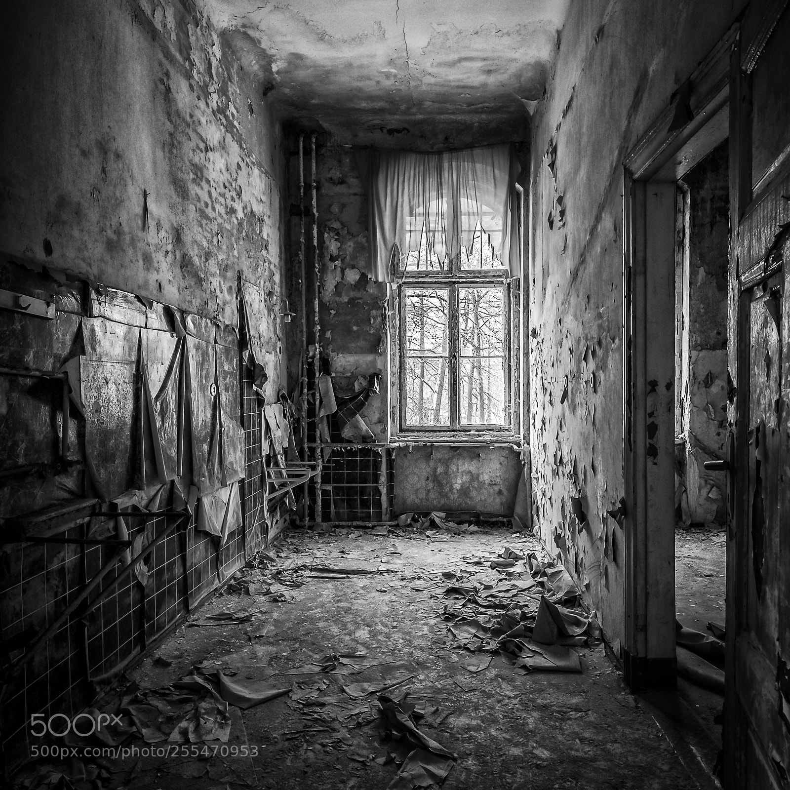 Canon EOS 6D sample photo. The decay continues photography