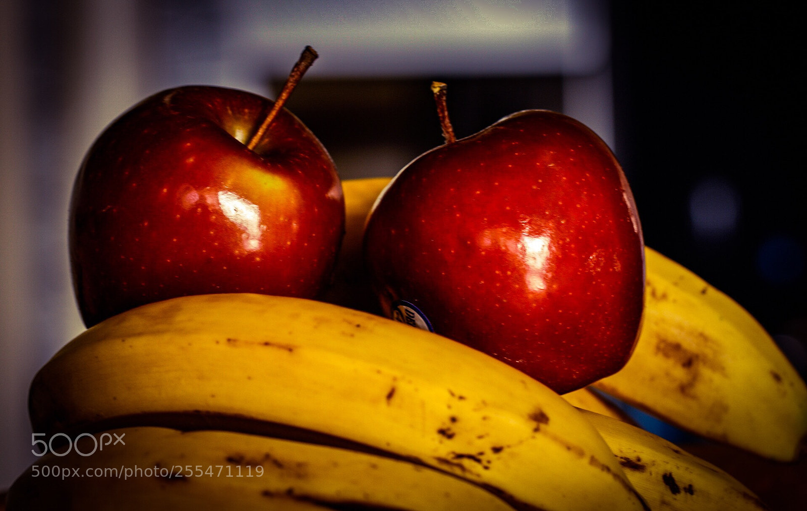Canon EOS 80D sample photo. Untitled photography