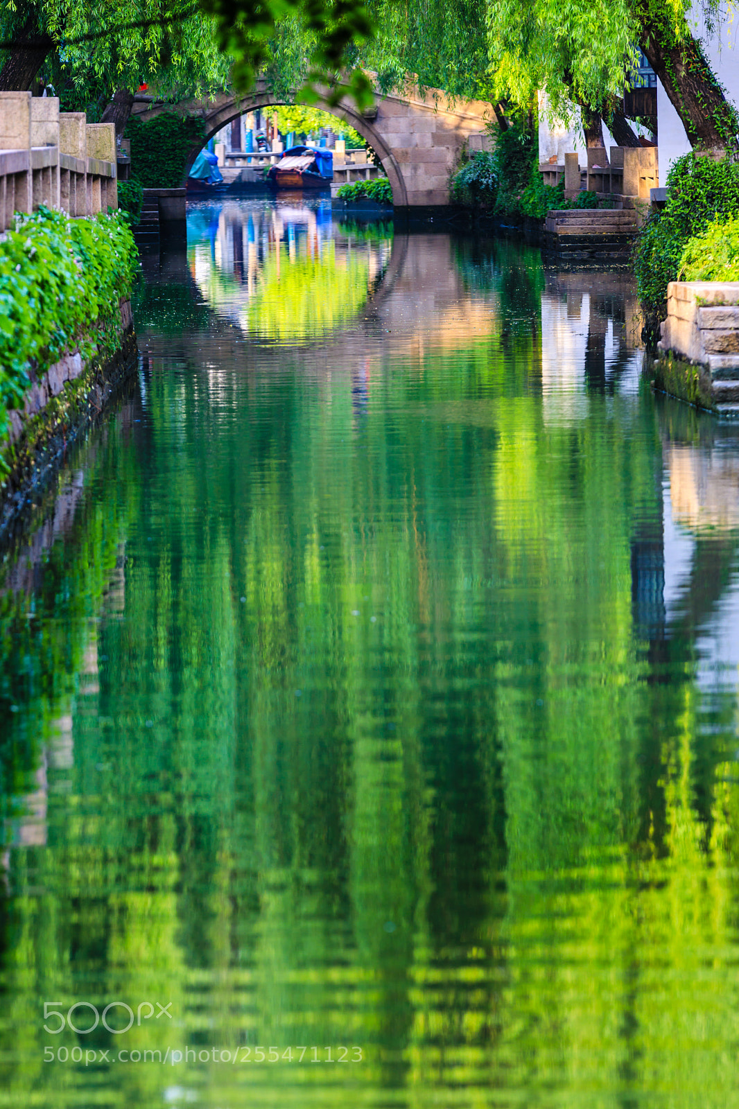 Canon EOS 5D Mark IV sample photo. Zhou zhuang photography