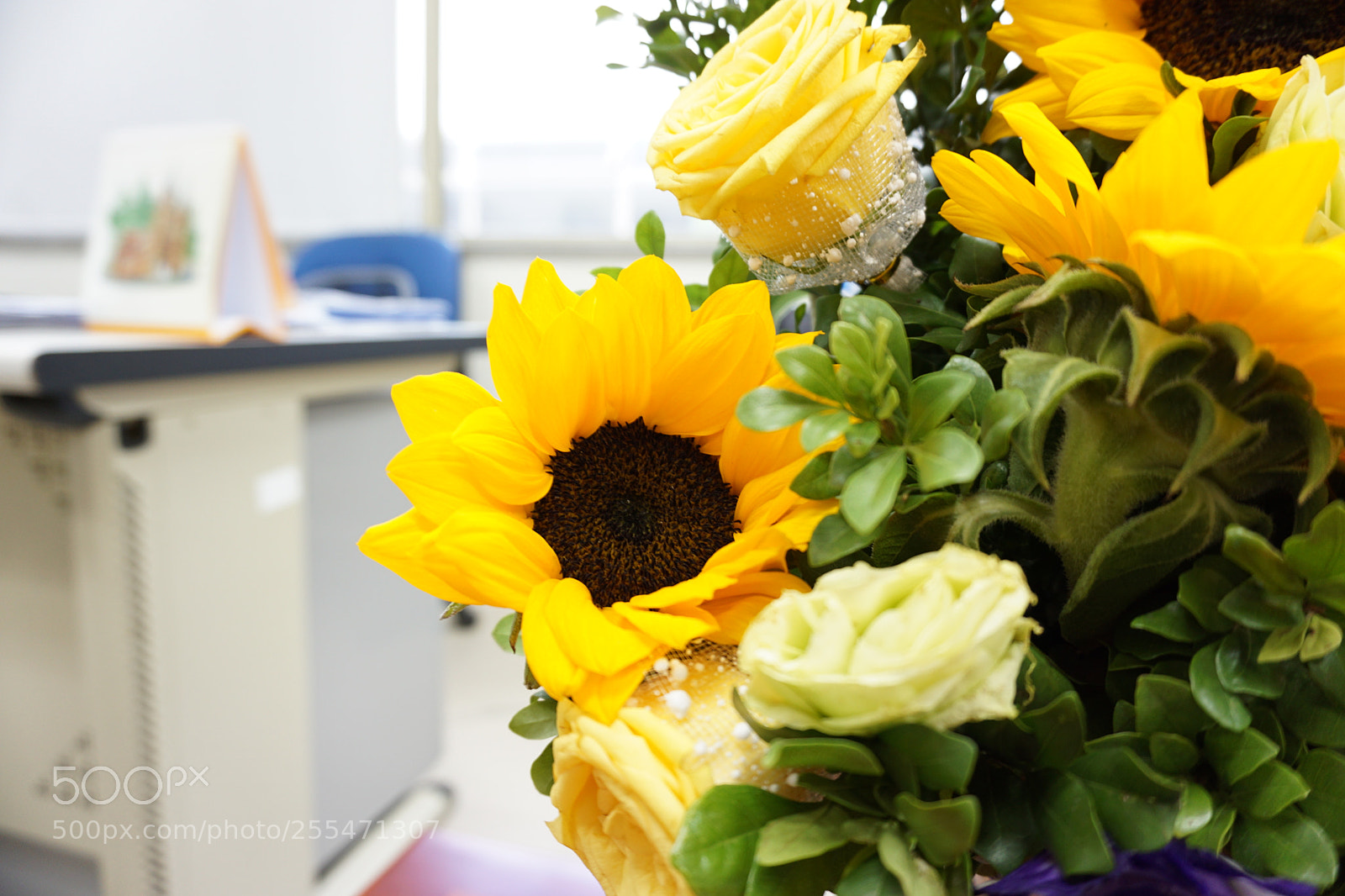 Sony a6000 sample photo. Bright and smile... photography