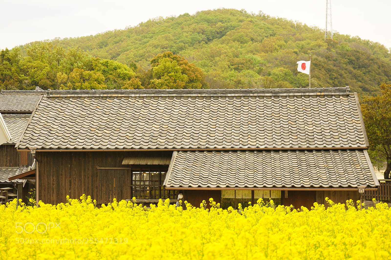 Sony a7 II sample photo. Japanese old house photography
