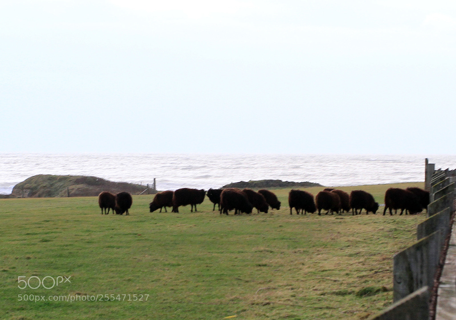 Canon EOS 7D sample photo. Croyde, north devon photography
