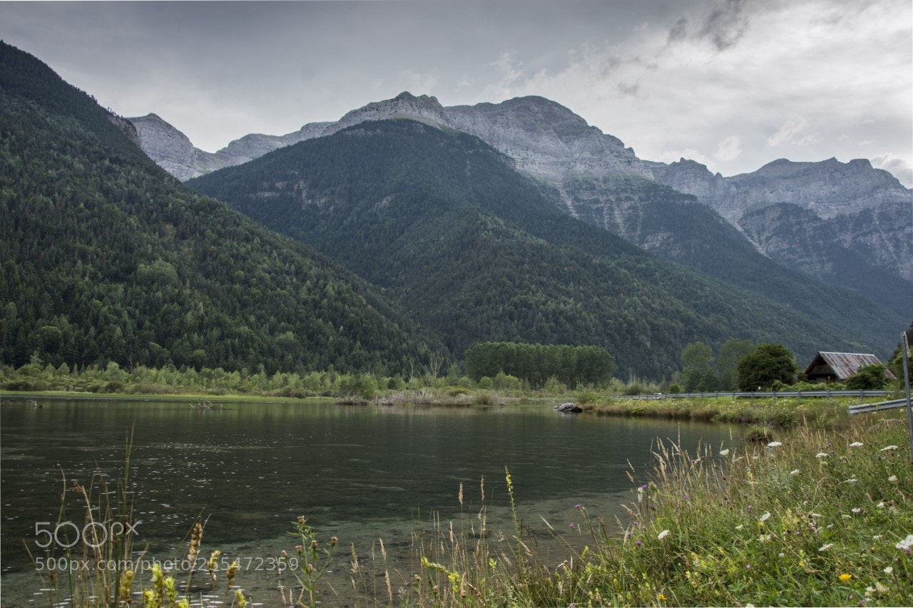 Nikon D7200 sample photo. Estanque photography