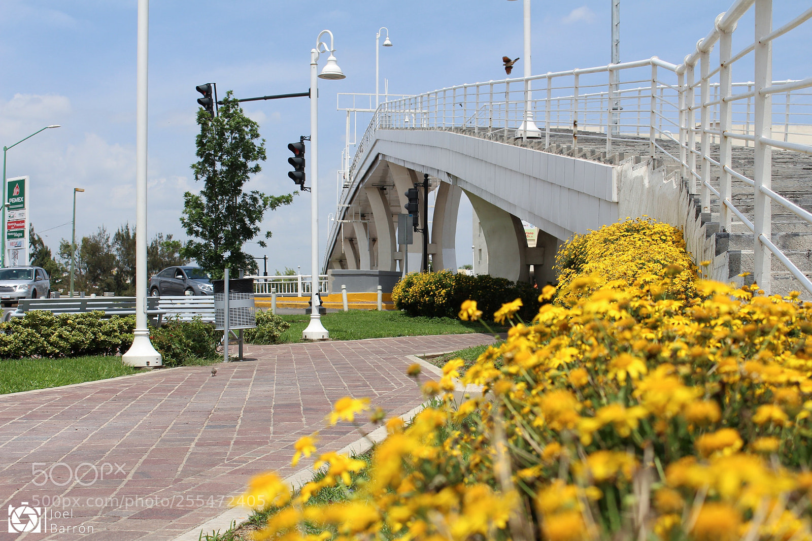 Canon EOS 700D (EOS Rebel T5i / EOS Kiss X7i) sample photo. Puente del amor  photography