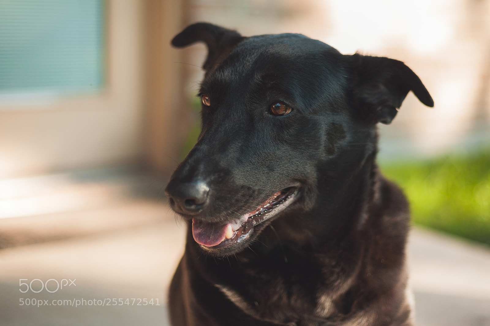Canon EOS 5D sample photo. Java photography