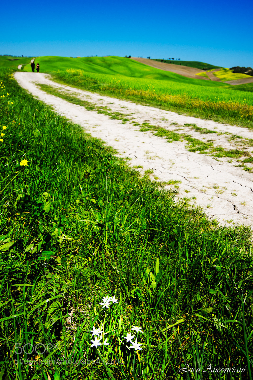 Nikon D610 sample photo. Tuscany photography