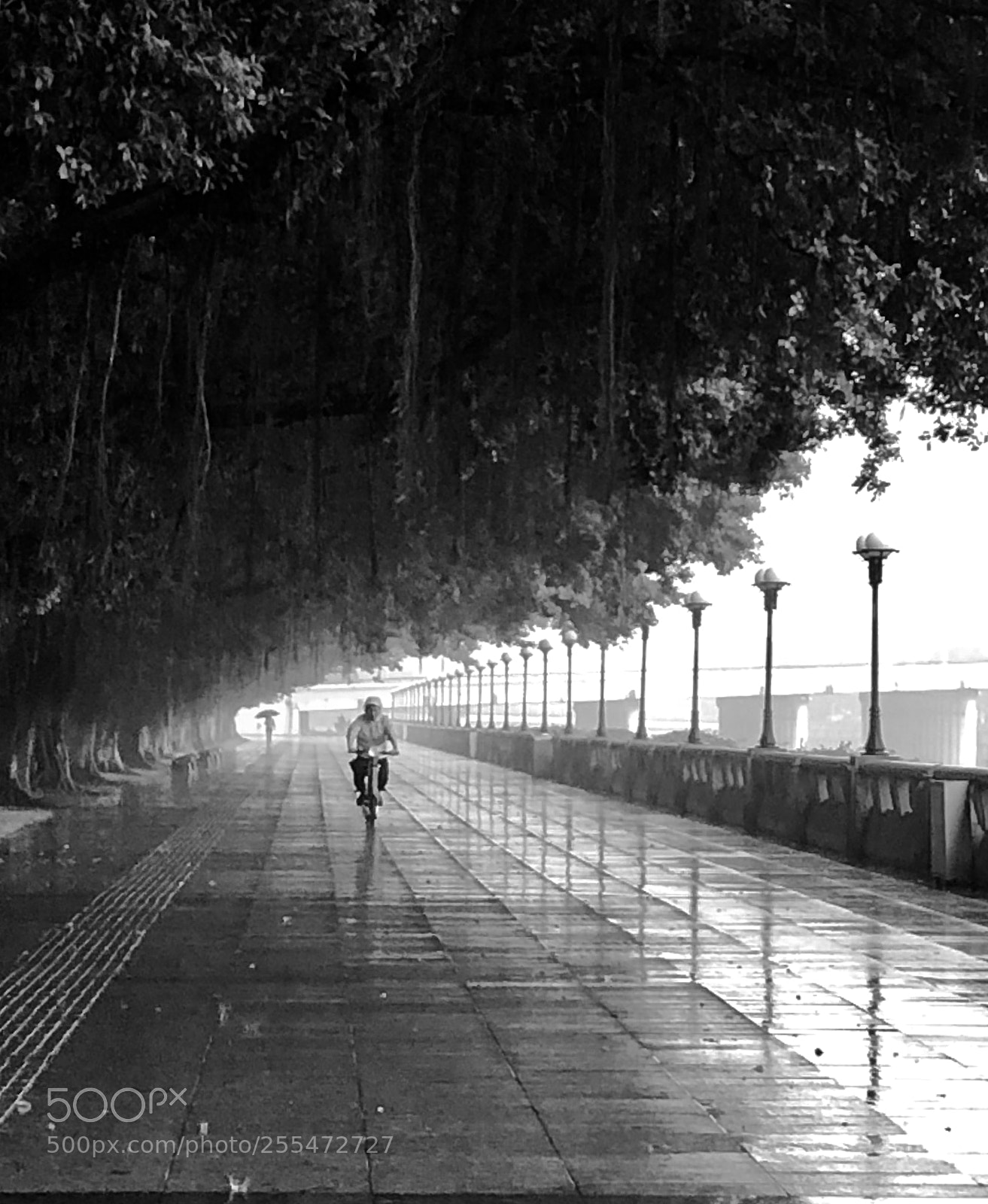 Apple iPhone X sample photo. Ride in the rain photography