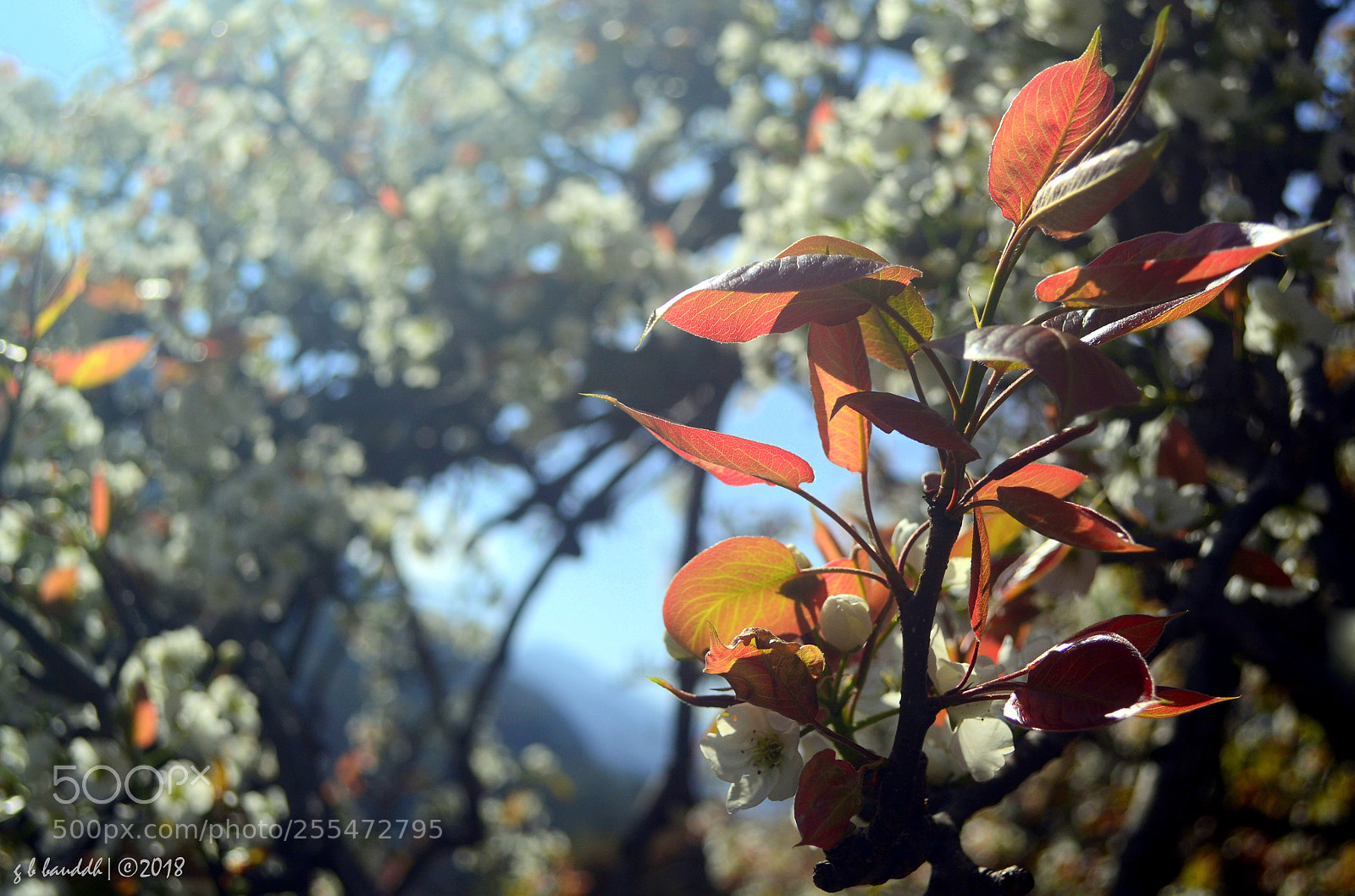 Nikon D3100 sample photo. Light and shade photography