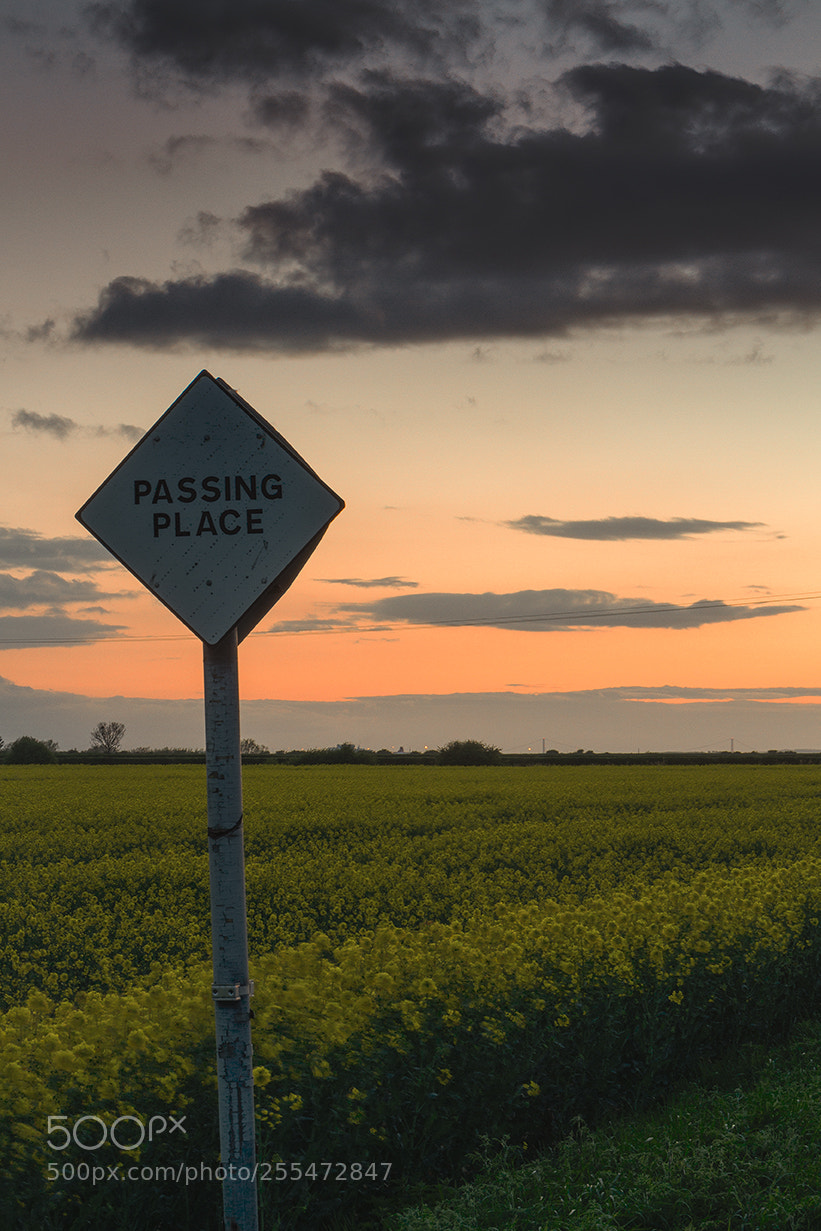 Canon EOS 7D sample photo. Passing place photography