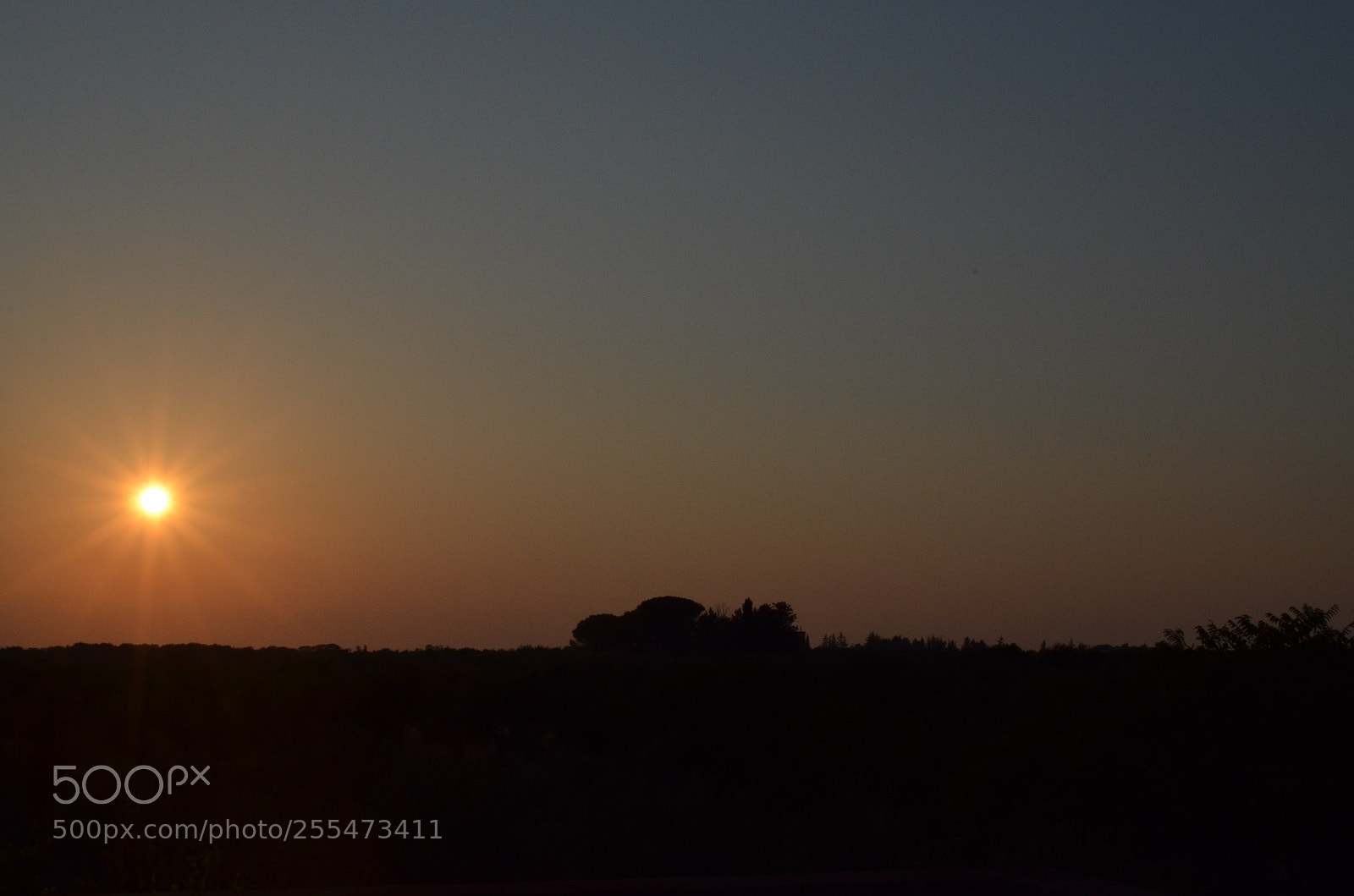 Nikon D5100 sample photo. The sun goes down photography