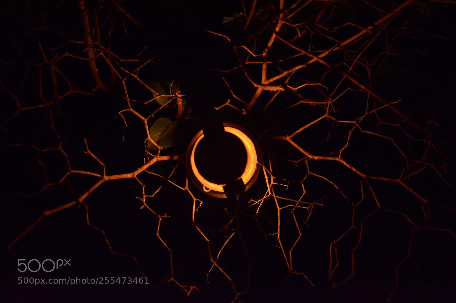 Nikon D5200 sample photo. Traces of light photography
