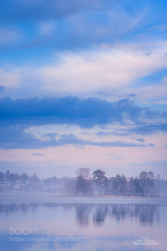 Sony Alpha DSLR-A700 sample photo. The fog photography