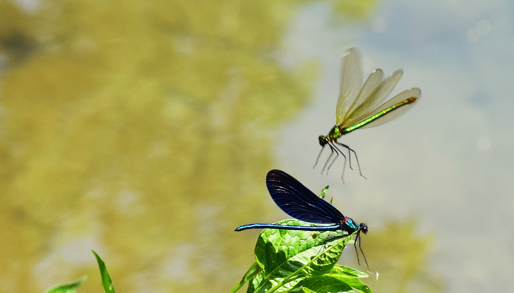 Nikon D3300 sample photo. I'm coming to you photography