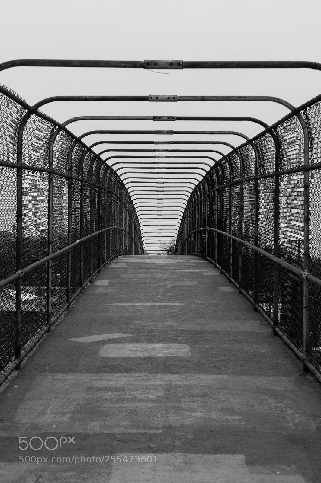 Sony SLT-A57 sample photo. Across the bridge photography