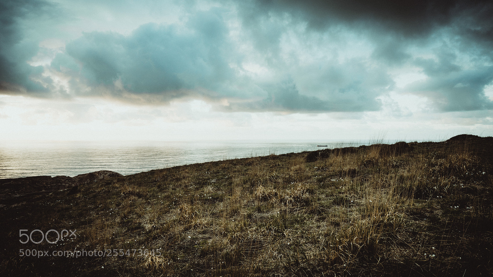 Sony a7R II sample photo. Another world is possible photography