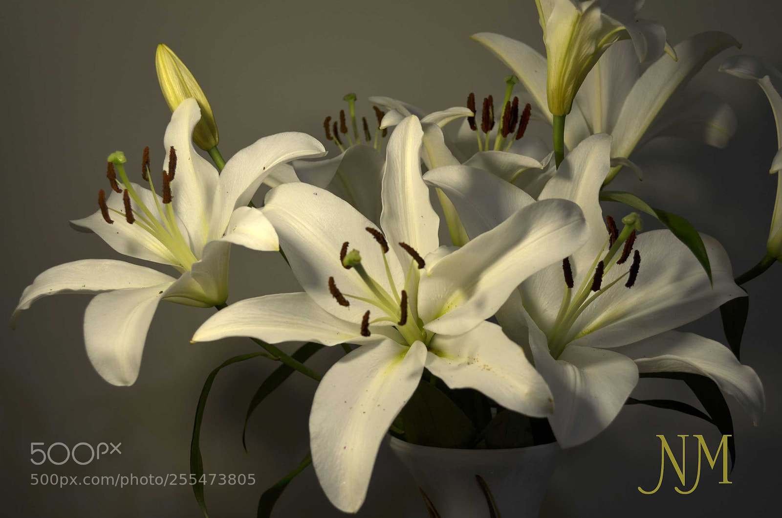 Nikon D5100 sample photo. Lilies -raw photography