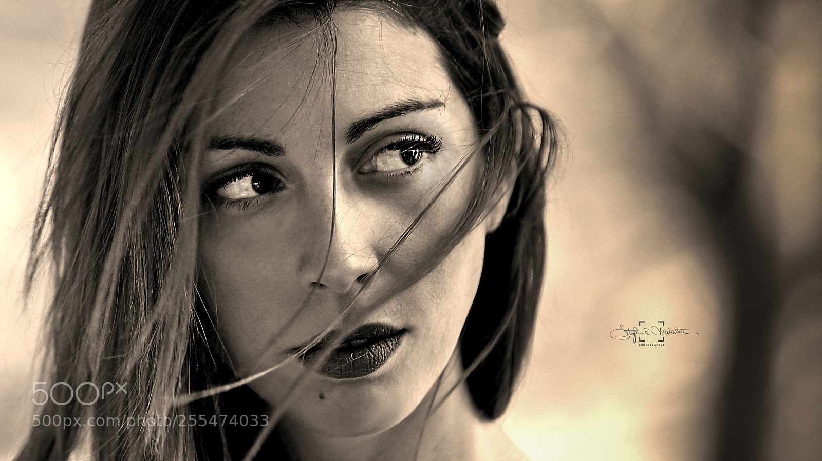 Canon EOS 6D sample photo. Bis bassa photography