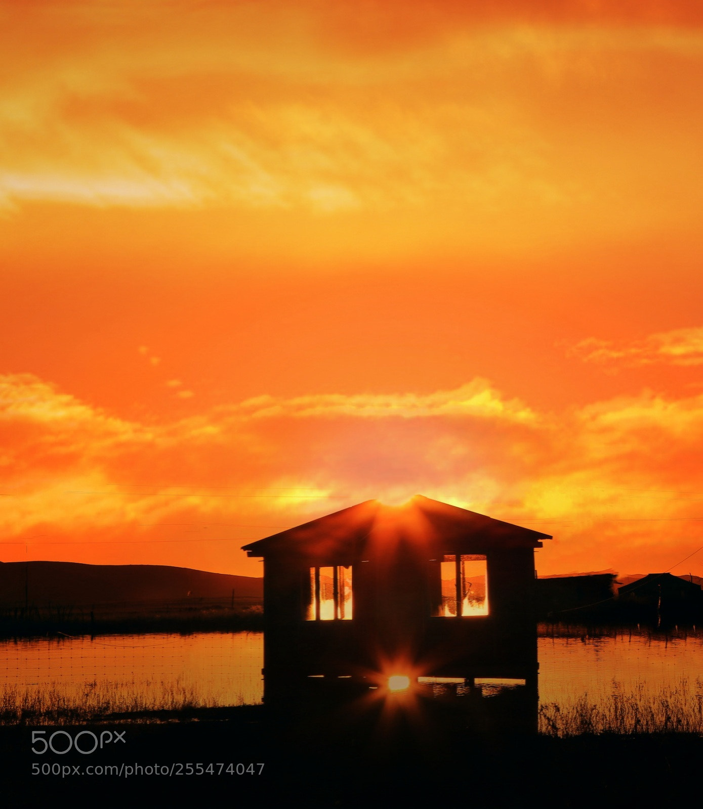 Canon EOS 6D sample photo. Untitled photography
