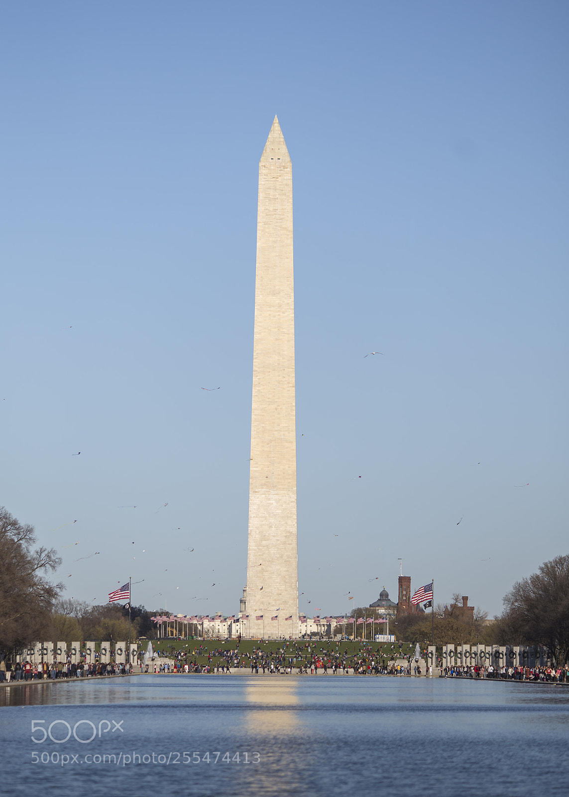 Canon EOS 6D sample photo. Washington monument photography