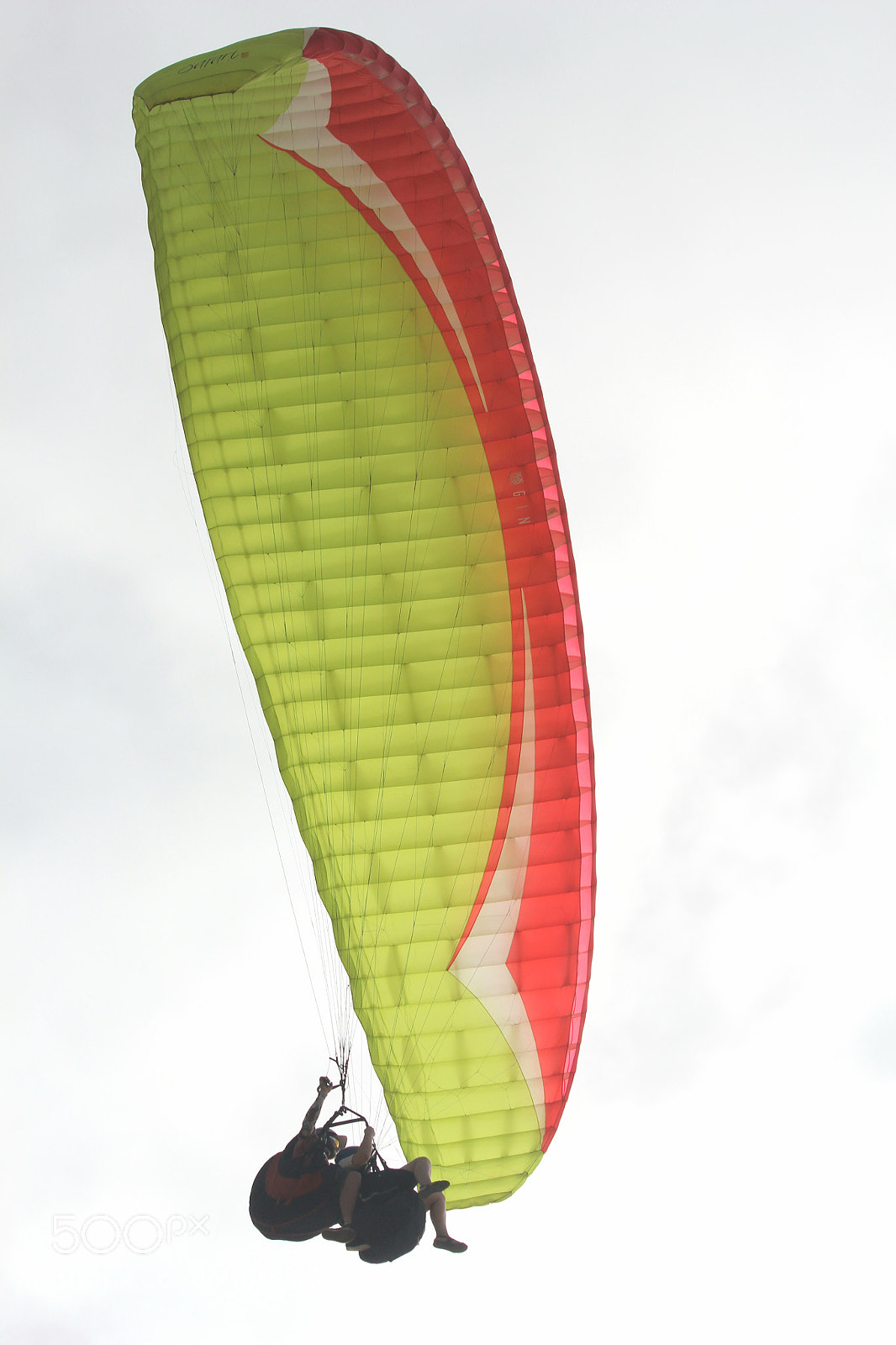 Canon EOS 60D sample photo. Paragliders photography