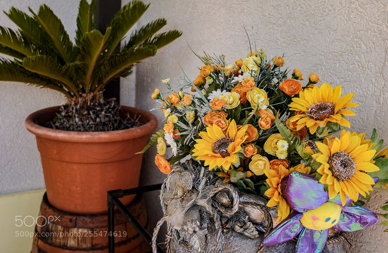 Fujifilm X100S sample photo. Multicoloured  photography