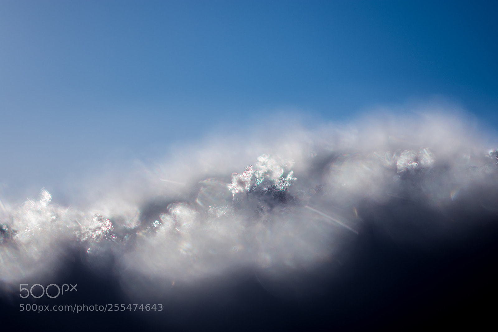 Nikon D7200 sample photo. Snow flake photography