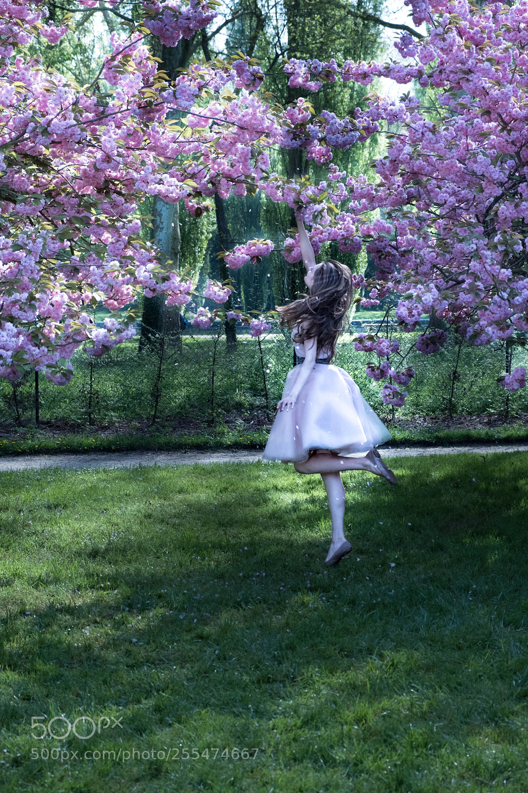 Fujifilm X-T2 sample photo. Untitled photography