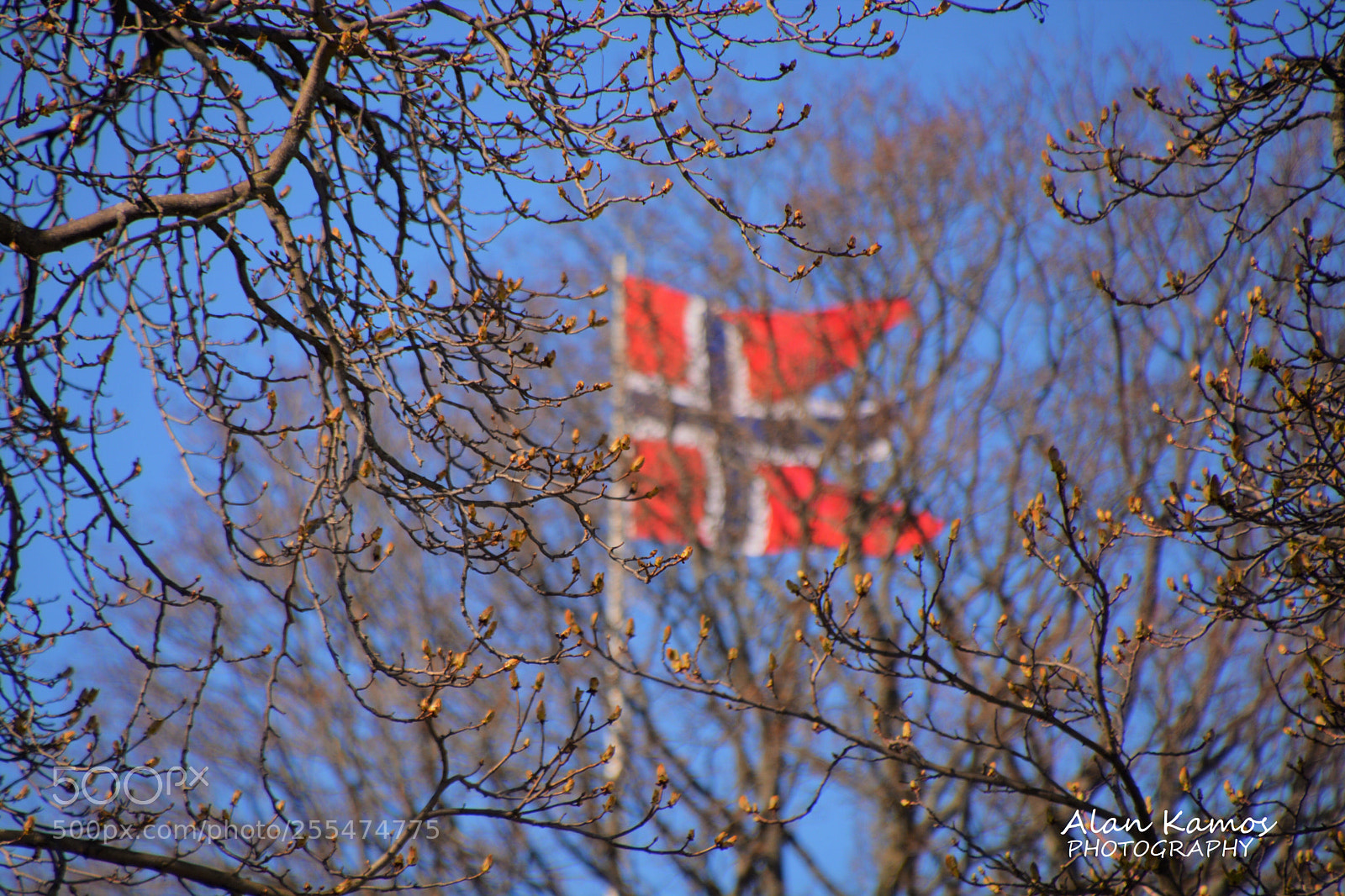 Nikon D5200 sample photo. Untitled photography